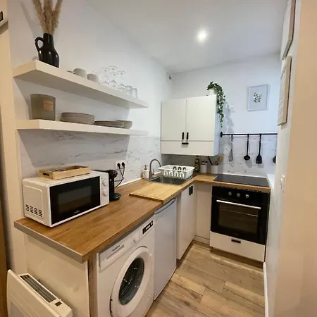 Appartement Le Petit Heros, Cosy En Hyper Centre *